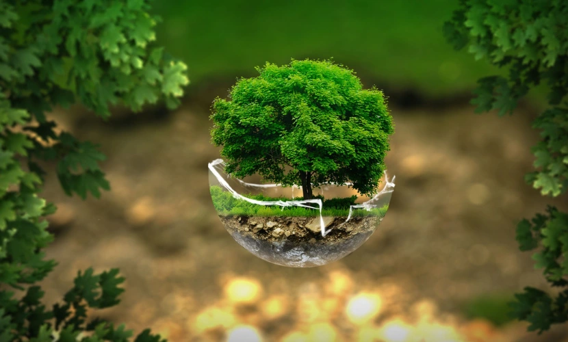 green belt